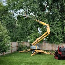 Best Lawn Grading and Leveling  in Red Lodge, MT